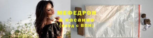 индика Арсеньев