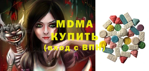 индика Арсеньев