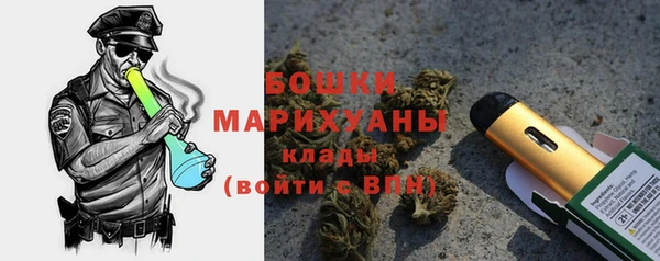 PSILOCYBIN Балахна