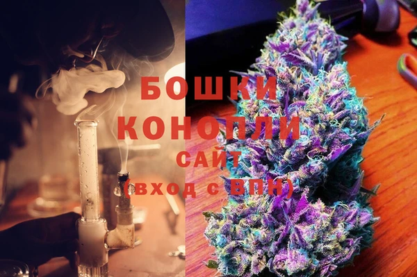 PSILOCYBIN Балахна