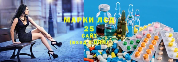 индика Арсеньев