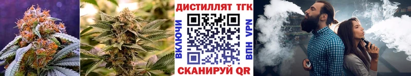 ТГК вейп Чапаевск