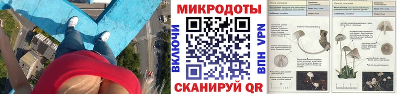 Галлюциногенные грибы ЛСД  купить   МЕГА маркетплейс  Чапаевск 